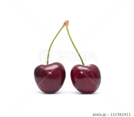 Cherry isolated. Cherries on white background. Sour cherry on white. 122362411