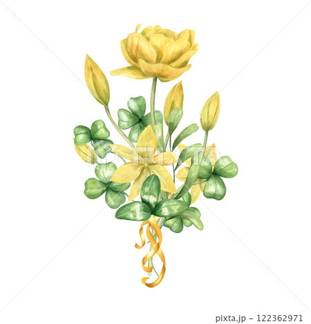Spring yellow tulip flowers, green clover leaves with golden ribbon bouquet hand drawn watercolor illustration. Delicate primrose with greenery. For Valentine day greeting card, Patrick day stationery 122362971