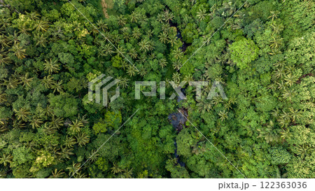 A breathtaking view of a lush green forest canopy captured from above, highlighting natures beauty 122363036