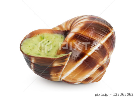 escargot snail filled with garlic and parsley butter isolated on white background escargot snail filled with garlic and parsley butter isolated on white background 122363062