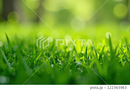 Macro Photo Green Grass With Space For Your Product Or Box, Sunny Day, Green Lawn background 122363963