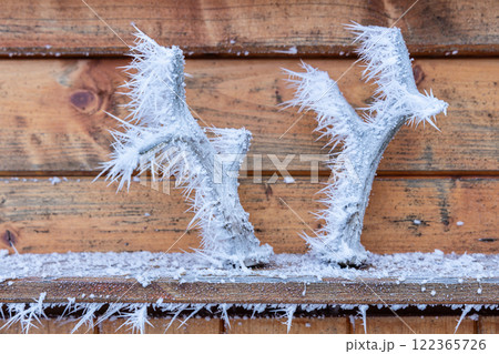 Frozen deer antlers decoration on wooden background 122365726