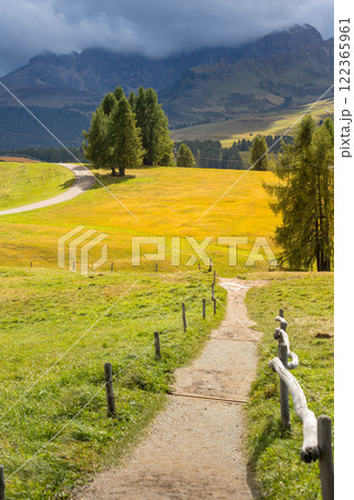Dolomites mountain road at Alpe di Siusi, Italy Dolomites mountain road at Alpe di Siusi, Italy 122365961