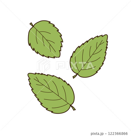 Set of three mint leaves. Vector illustration in simple, flat cartoon style. Suitable for creating compositions, decorating menu, creating patterns. Set of three mint leaves. Vector illustration in simple, flat cartoon style. Suitable for creating compositions, decorating menu, creating patterns. 122366866