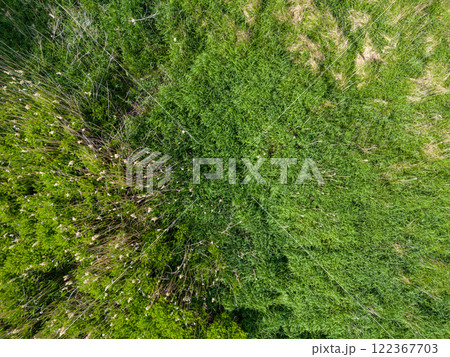 Landscape Mecklenburg Lake District, Mecklenburg-West Pomerania, Germany 122367703