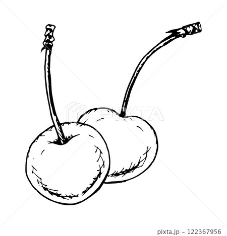 Hand-drawn black and white vector illustration of a pair of cherries with stems, created in ink sketch style. Ideal for food packaging, recipe books, Valentine s Day cards and farm design projects Hand-drawn black and white vector illustration of a pair of cherries with stems, created in ink sketch style. Ideal for food packaging, recipe books, Valentine s Day cards and farm design projects 122367956