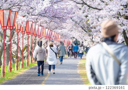 たくさんの花見客で賑わう桜並木 122369161