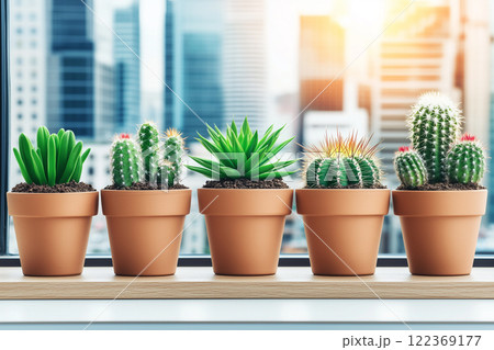 Cacti and Succulents Arranged in Flower Pots by Window Overlooking Urban Cityscape in Spring 122369177