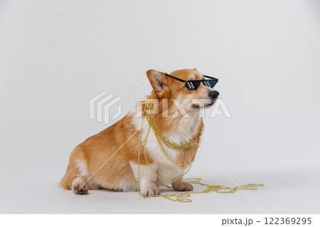 Cool corgi with pixel glasses and gold chains, showcasing swag and a playful attitude in style 122369295