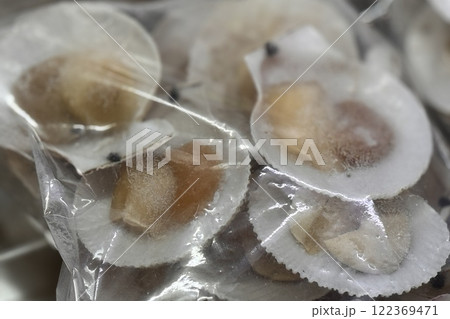 A beautiful collection of fresh, succulent scallops in their natural shells, perfect for culinary use and enjoyment A beautiful collection of fresh, succulent scallops in their natural shells, perfect for culinary use and enjoyment 122369471