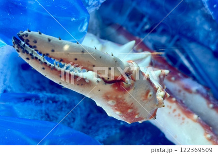 Frozen king crab claws in the freezer for sale in the supermarket. Delicatessen meat for a healthy diet. Close-up 122369509