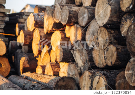 Warm sunlight illuminating a large stack of logs, showcasing the natural beauty and texture of the wood in a russian lumberyard 122370854