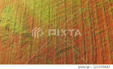 A red field of poppy flowers. Drone video. A red field of poppy flowers. Drone video. 122370887