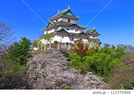 【和歌山県】満開の桜と和歌山城の天守閣 122370998