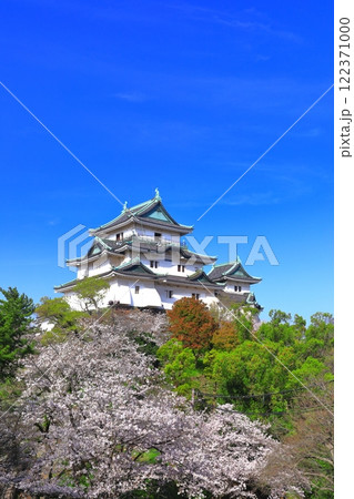 【和歌山県】満開の桜と和歌山城の天守閣 【和歌山県】満開の桜と和歌山城の天守閣 122371000