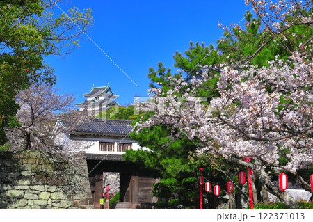 【和歌山県】満開の桜と和歌山城の天守閣と岡口門 122371013