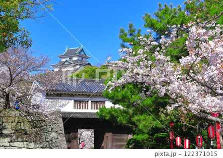【和歌山県】満開の桜と和歌山城の天守閣と岡口門 122371015