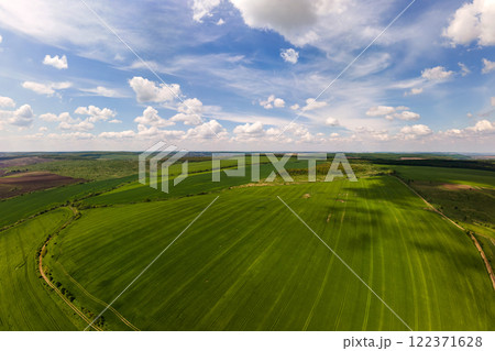 Aerial landscape view of green cultivated agricultural fields with growing crops on bright summer day. 122371628