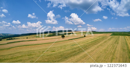 Aerial landscape view of green and yellow cultivated agricultural fields with growing crops on bright summer day 122371643