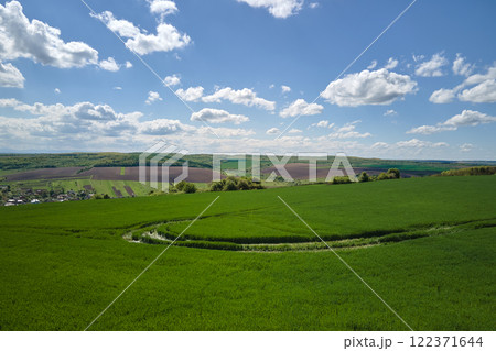 Aerial landscape of green farmland in summer season with growing crops. Agricultural cultivated field. Farming and agriculture industry 122371644