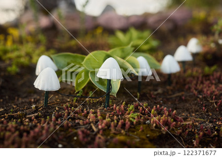 Charming Miniature White Mushrooms Set Amidst a Beautiful Lush Green Landscape, Naturally Appealing 122371677