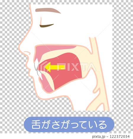 下がっている舌の位置 122372034