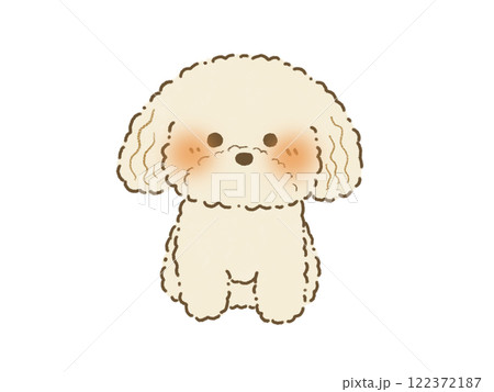 正面を向いてお座りをするクリーム色のトイプードルのイラスト　手描き 122372187