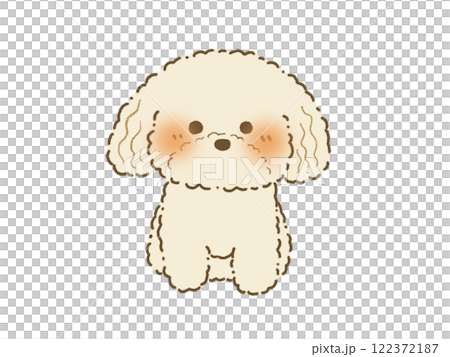 正面を向いてお座りをするクリーム色のトイプードルのイラスト　手描き 122372187