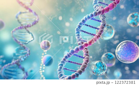 体内の幹細胞とDNAのイメージの3DCGイラスト 医療系素材 体内の幹細胞とDNAのイメージの3DCGイラスト 医療系素材 122372381