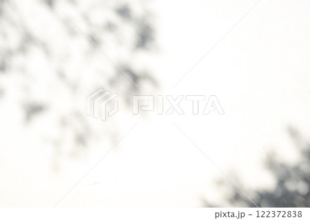 白壁に映る枝葉の柔らかな影　a-1 122372838