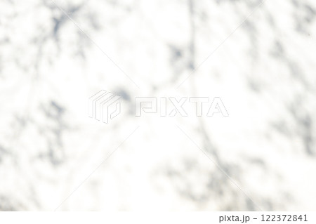 白壁に映る枝葉の柔らかな影　b-1 122372841