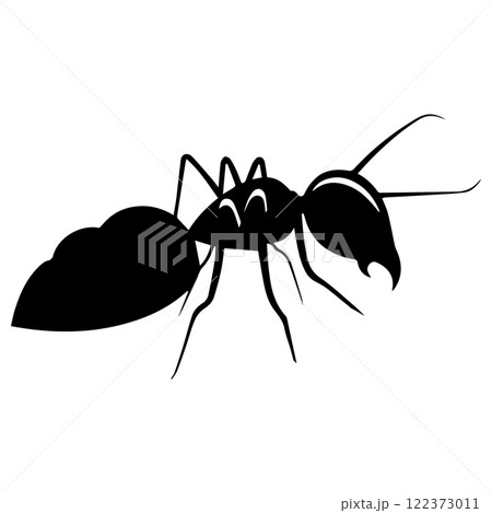 ant animal icon vectors illustration symbol design 122373011
