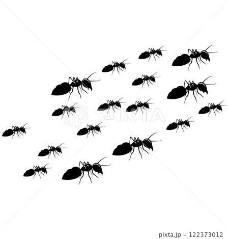 ant animal icon vectors illustration symbol design 122373012
