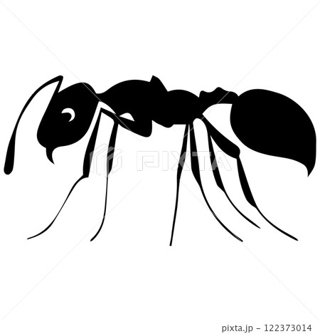 ant animal icon vectors illustration symbol design ant animal icon vectors illustration symbol design 122373014