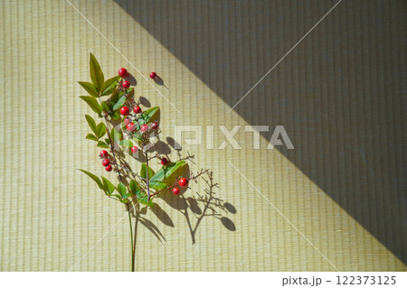 畳の上に置かれた南天 122373125