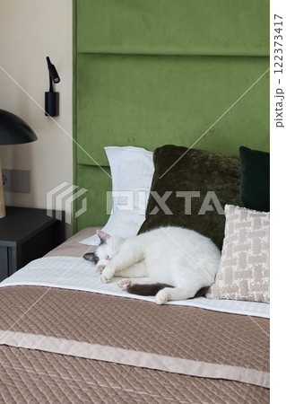 A Cozy Bedroom Featuring an Adorable Cat Relaxing Comfortably on a Soft Bed with Pillows A Cozy Bedroom Featuring an Adorable Cat Relaxing Comfortably on a Soft Bed with Pillows 122373417