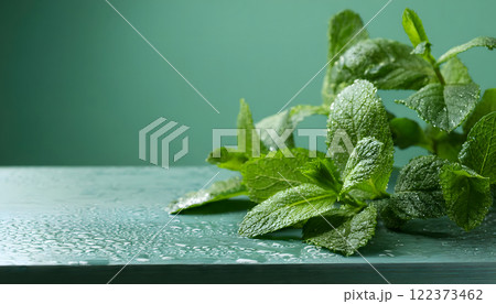 ミント ミント 122373462