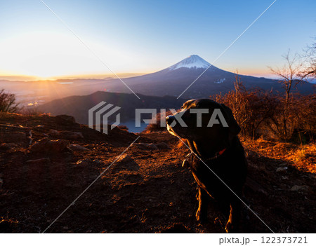 富士山と犬 122373721