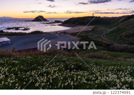 《静岡県》伊豆半島・爪木崎の夜明け 《静岡県》伊豆半島・爪木崎の夜明け 122374091