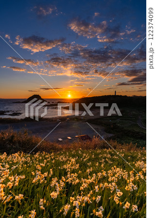 《静岡県》伊豆半島・爪木崎の夜明け 《静岡県》伊豆半島・爪木崎の夜明け 122374099