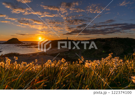 《静岡県》伊豆半島・爪木崎の夜明け 122374100