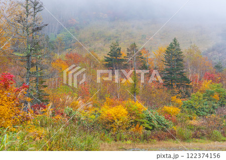 秋の長野県小谷村 紅葉の栂池高原 秋の長野県小谷村 紅葉の栂池高原 122374156