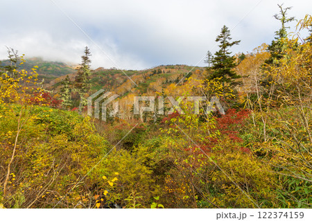 秋の長野県小谷村　紅葉の栂池高原 122374159