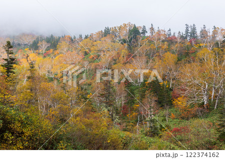 秋の長野県小谷村　紅葉の栂池高原 122374162