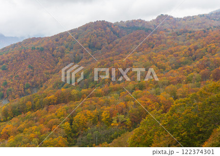 秋の長野県小谷村　紅葉の栂池高原　ゴンドラリフトからの眺望 122374301