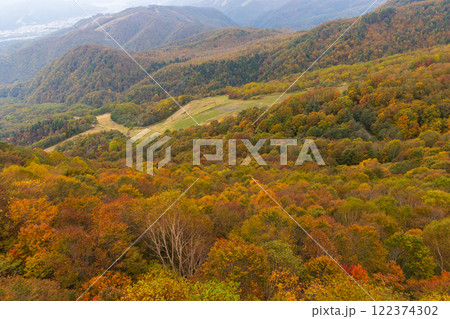 秋の長野県小谷村 紅葉の栂池高原 ゴンドラリフトからの眺望 秋の長野県小谷村 紅葉の栂池高原 ゴンドラリフトからの眺望 122374302