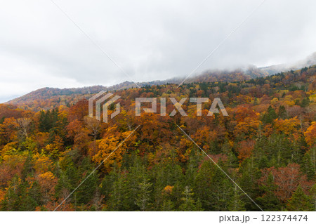 秋の長野県小谷村　紅葉の栂池高原　ロープウェイからの眺望 122374474