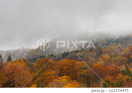 秋の長野県小谷村　紅葉の栂池高原　ロープウェイからの眺望 122374475