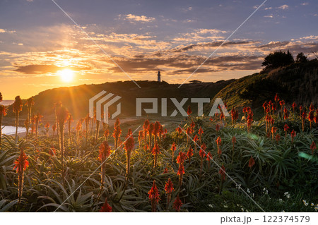 《静岡県》伊豆半島・爪木崎の夜明け 122374579