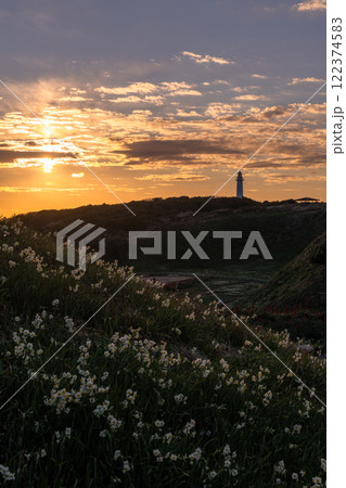 《静岡県》伊豆半島・爪木崎の夜明け 122374583